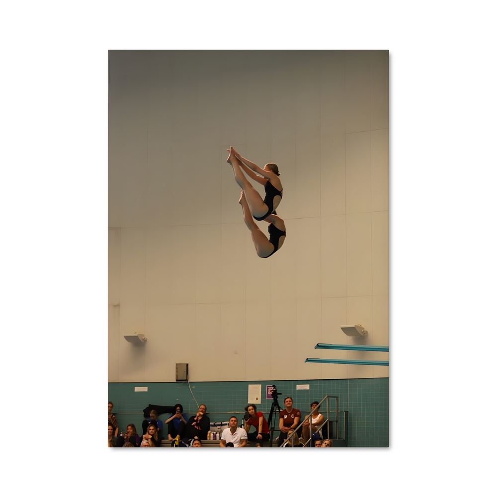 Poster Saut Équilibré